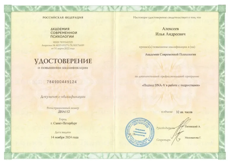 Подход DNA-V в работе с подростками Подход DNA-V в работе с подростками